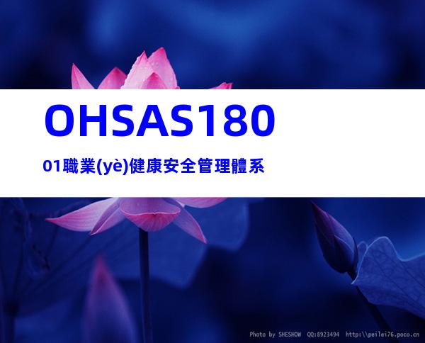 OHSAS18001職業(yè)健康安全管理體系
