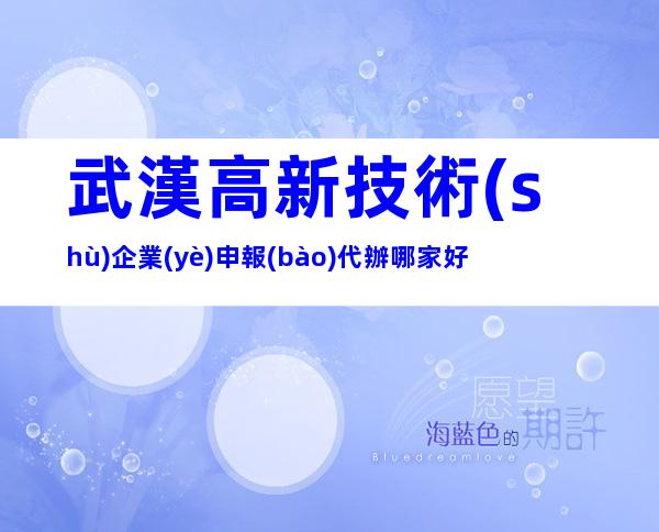 武漢高新技術(shù)企業(yè)申報(bào)代辦哪家好