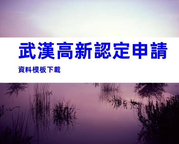 武漢高新認定申請資料模板下載