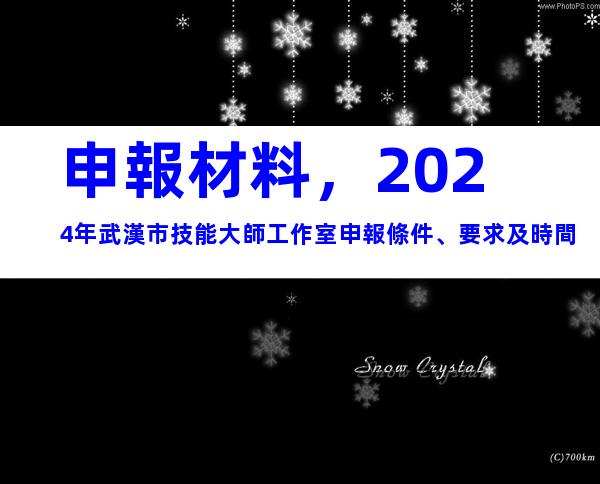 申報材料，2024年武漢市技能大師工作室申報條件、要求及時間